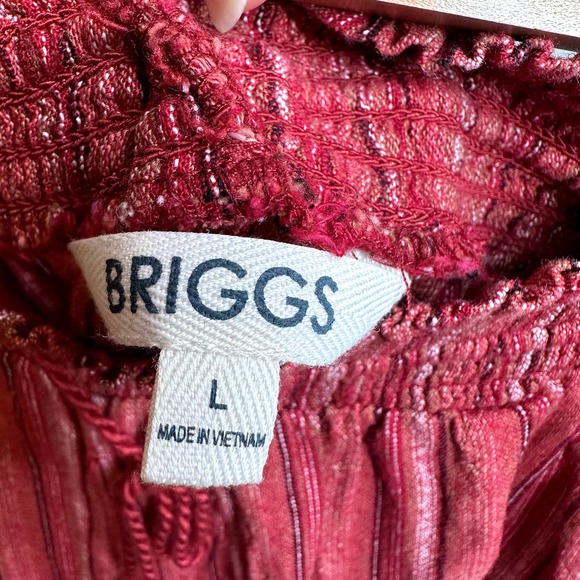 Linen Blend Red Stripe Boho Shorts Size Large - Picture 5 of 6